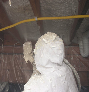 Yellowknife North West crawl space insulation